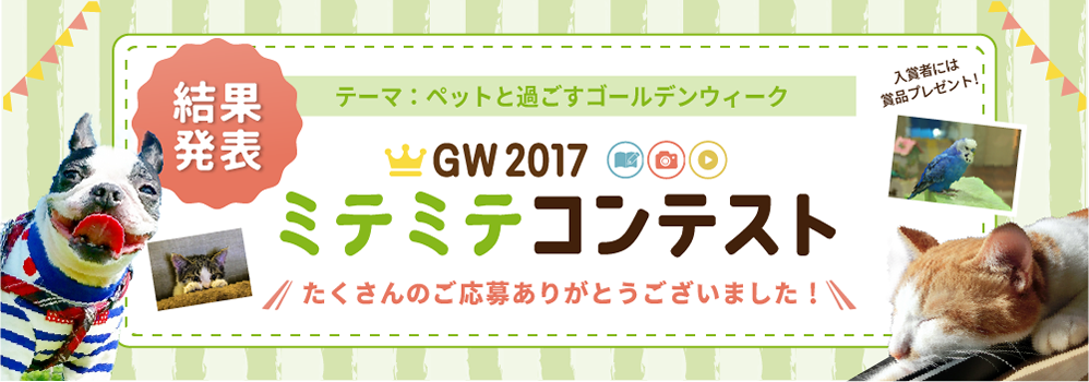 GWミテミテコンテスト 2017 結果発表