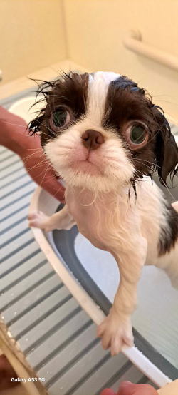 初めてのお風呂　頑張ったね！