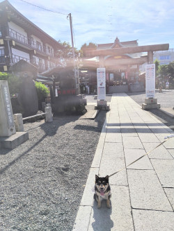 羽田神社🛩
