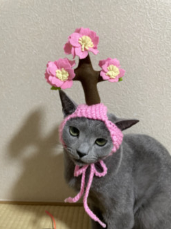 桜のお帽子🌸　ママ　これ可愛い❓