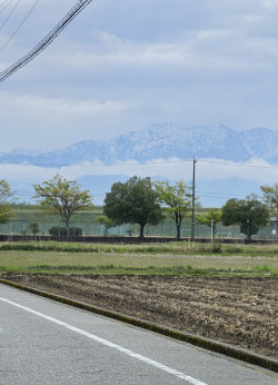 今日の富山の田園風景…🐱